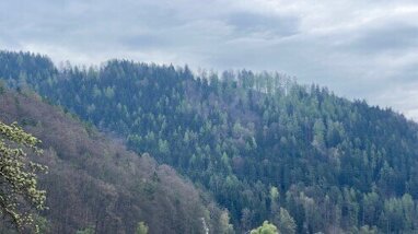 Forstwirtschaft zum Kauf 1.750.000 m² Grundstück Kapfenberg 8605