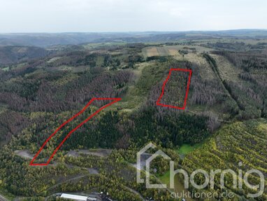 Land-/Forstwirtschaft zum Kauf 59.000 € 65.150 m² Grundstück Reichenbach Probstzella / Arnsbach 07330