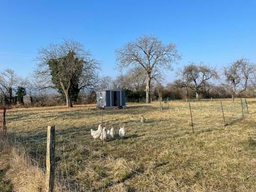 Freizeitgrundstück zur Miete 300 € 426 m² Grundstück Radolfzell Radolfzell am Bodensee / Markelfingen 78315