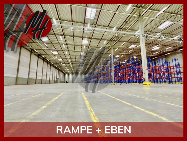 Halle/Industriefläche zum Kauf 20.000 m² Lagerfläche Alzey 55232