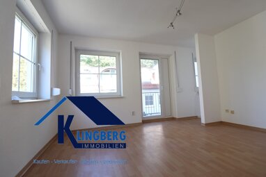 Apartment zur Miete 190 € 1 Zimmer 33 m² Liebknechtstraße 4 Zeitz Zeitz 06712