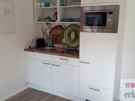 Wohnung zur Miete Wohnen auf Zeit 1.200 € 1 Zimmer 22 m² frei ab 01.10.2025 Innenstadt Erlangen 91052