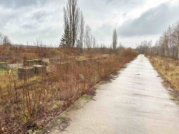 Gewerbegrundstück zur Miete 10.154 € 12.692 m² Grundstück Limbach-Oberfrohna 09212