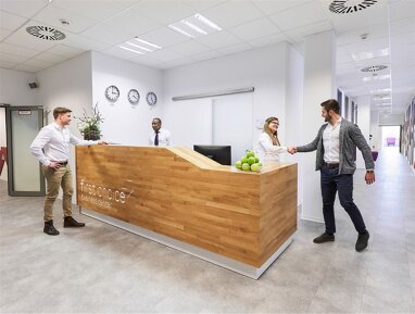 Coworking Space zur Miete Provisionsfrei 250 € 12 m² Bürofläche Hauptbahnhof Wiesbaden 65189