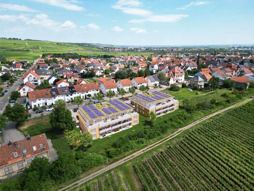 Neubauprojekt zum Kauf Leiningerstraße 69 + 71 Sausenheim Grünstadt 67269