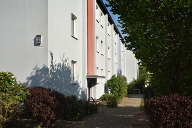 Wohnung zur Miete 473,54 € 2 Zimmer 60,7 m² 1. Geschoss Föhrenhorst 11 Wohltberg Wolfsburg 38440