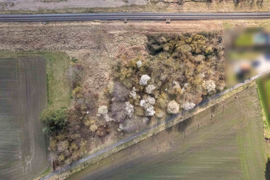 Land-/Forstwirtschaft zum Kauf 37.000 € 5.611 m² Grundstück Klein Oschersleben Klein Oschersleben 39387
