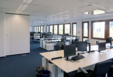 Büro-/Praxisfläche zur Miete 8,89 € 436,5 m² Bürofläche Leere Wasen/Hulb/Stöckach/Blumenmahden Böblingen 71034