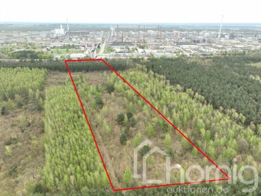 Land-/Forstwirtschaft zum Kauf 9.900 € 38.679 m² Grundstück Kastanienallee Schwedt/Oder 16303
