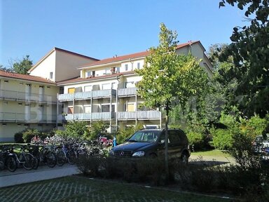 Wohnung zur Miete 237 € 1 Zimmer 22,6 m² EG frei ab sofort Soldmannstraße 22, WE 61 Greifswald 17489