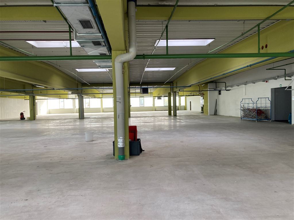 Halle/Industriefläche zur Miete 2.950 m²<br/>Lagerfläche ab 1.000 m²<br/>Teilbarkeit Neuses Coburg 96450