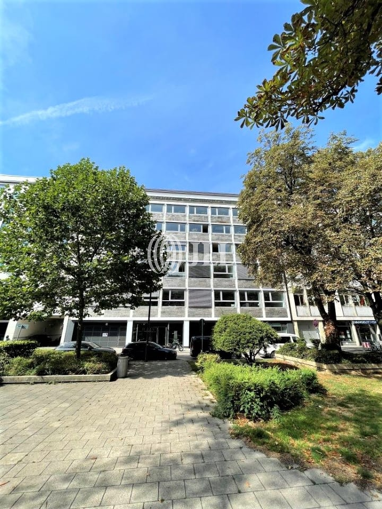 Bürofläche zur Miete Provisionsfrei 31 € 503 m² Bürofläche Hackenviertel München 80331