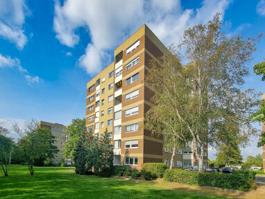 Wohnung zum Kauf 165.000 € 3 Zimmer 89 m² Erdgeschoss Thiede - Steterburg Salzgitter / Thiede 38239