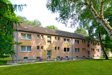 Wohnung zur Miete nur mit Wohnberechtigungsschein 253,36 € 2 Zimmer 50 m² Erdgeschoss Salentinstraße 291 Hochlarmark Recklinghausen 45661
