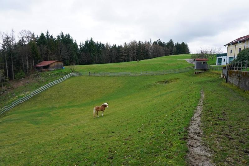 Land-/Forstwirtschaft zum Kauf Ried im Innkreis 4910