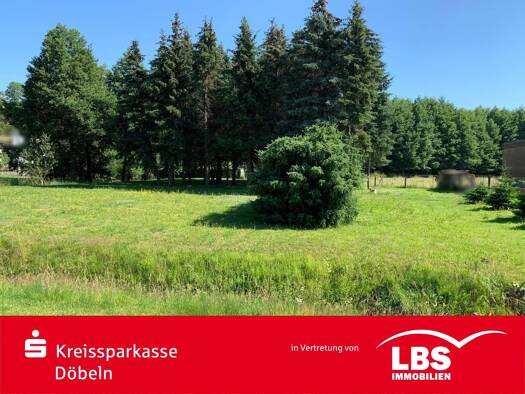 Grundstück zum Kauf 40.000 € 2.600 m² Grundstück Ostrau Jahnatal 04749