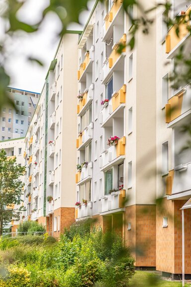 Wohnung zur Miete 310 € 2 Zimmer 39 m² 1. Geschoss frei ab 15.02.2025 Knud-Rasmussen-Straße 4a Evershagen Rostock 18106