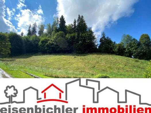 Grundstück zum Kauf 580.000 € 1.510 m² Grundstück Siegsdorf 83313