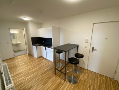 Wohnung zur Miete 735,62 € 3 Zimmer 62,1 m² Erdgeschoss Wien 1210