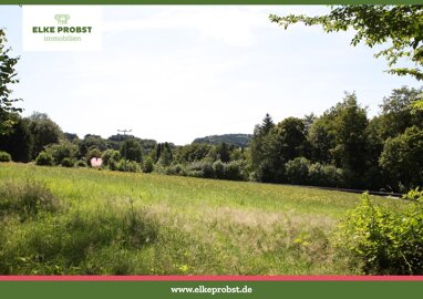 Grundstück zum Kauf Provisionsfrei 48.000 € 5.923 m² Grundstück Herzogau Waldmünchen Waldmünchen 93449