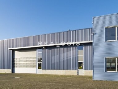 Halle/Industriefläche zur Miete Provisionsfrei 1.000 m² Lagerfläche Steingerüst Rastatt 76437