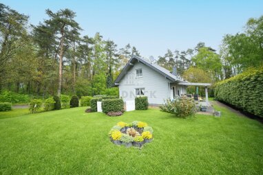 Einfamilienhaus zum Kauf 299.000 € 4 Zimmer 133 m² 986 m² Grundstück Steyerberg Steyerberg 31595
