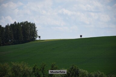 Land-/Forstwirtschaft zum Kauf 1.467 € 4.188 m² Grundstück Oberweißbach Schwarzatal 98744