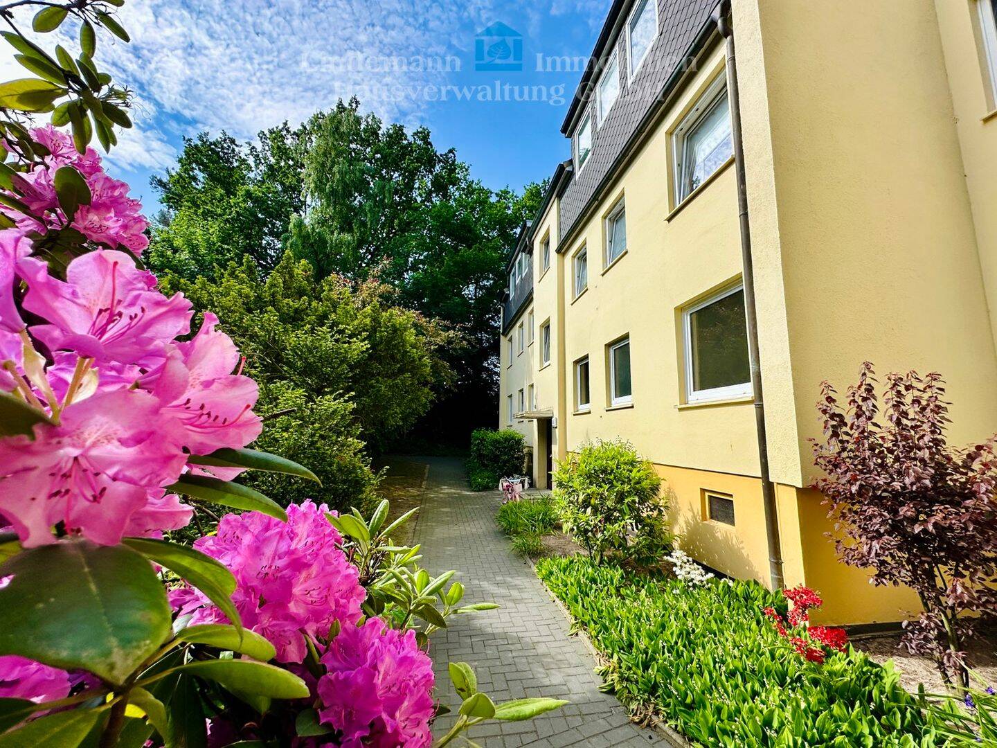 Wohnung zur Miete