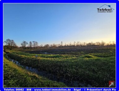 Land-/Forstwirtschaft zum Kauf provisionsfrei 20.160 m² Grundstück Burlage Rhauderfehn 26817