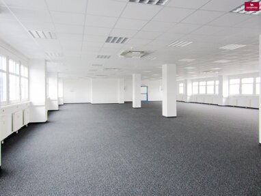Büro-/Praxisfläche zur Miete 8.697 € 554 m² Bürofläche Wiener Neudorf 2351