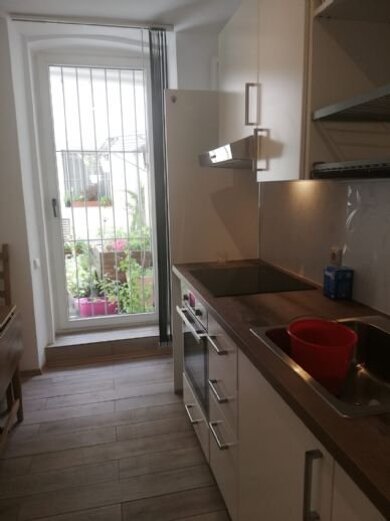 Wohnung zur Miete 500 € 1 Zimmer 30 m² EG Gostenhof Nürnberg 90429