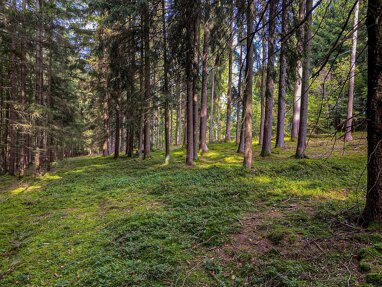 Land-/Forstwirtschaft zum Kauf 167.500 € 29.100 m² Grundstück Reisbach Reisbach 94419