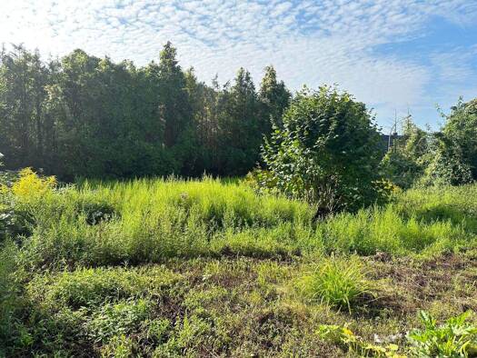 Grundstück zum Kauf 120.000 € 499 m² Grundstück frei ab sofort Lengerich 49525