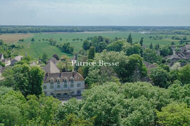 Schloss zum Kauf 4.100.000 € 20 Zimmer 1.207 m² 43.480 m² Grundstück Centre Ville Beaune 21200