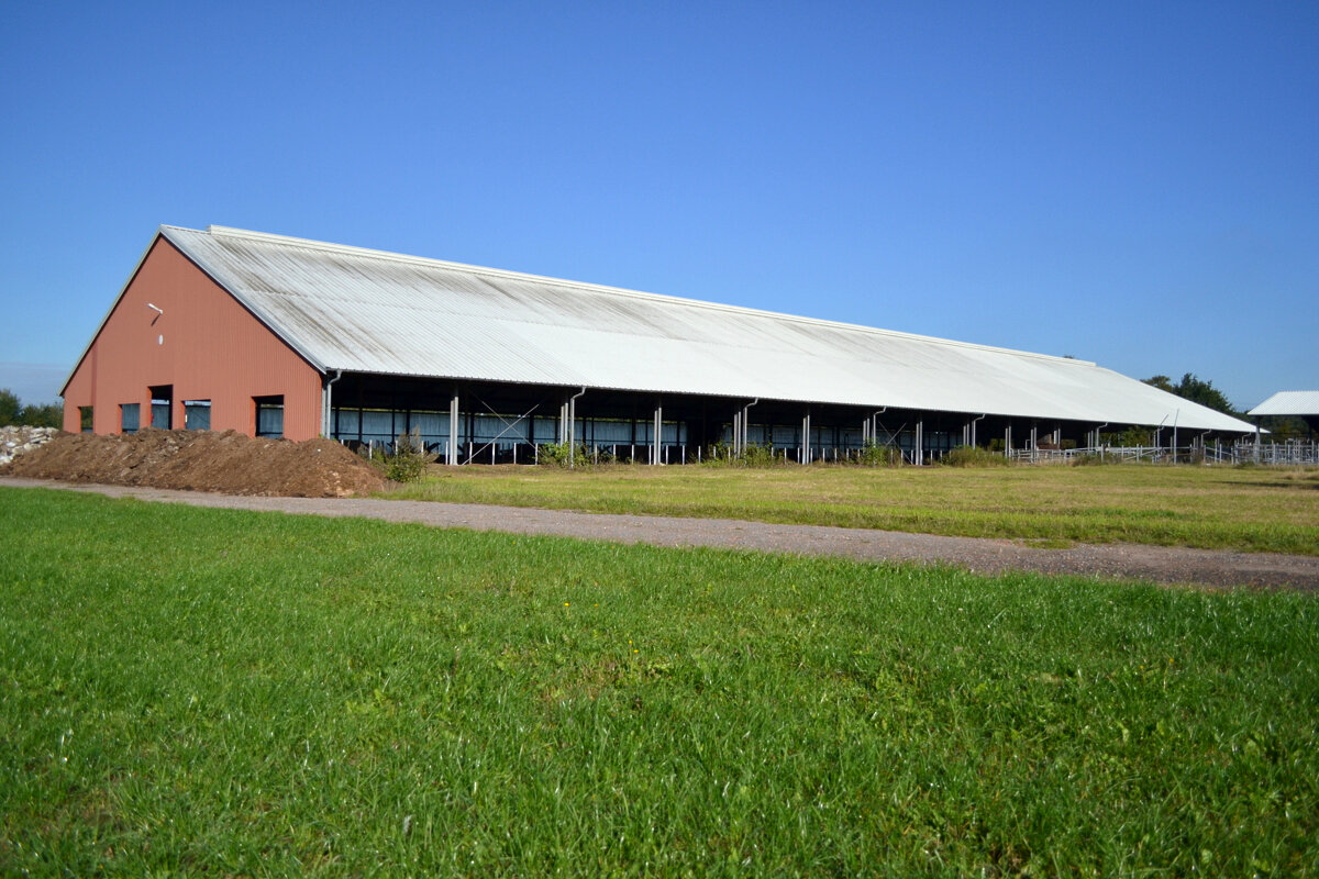 Lagerhalle zur Miete provisionsfrei 3,50 € 4.000 m²<br/>Lagerfläche Wangersen Ahlerstedt 21702