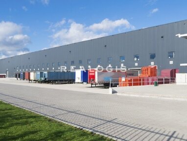 Halle/Industriefläche zur Miete Provisionsfrei 15.000 m² Lagerfläche teilbar ab 10.000 m² Gernsheim Gernsheim 64579