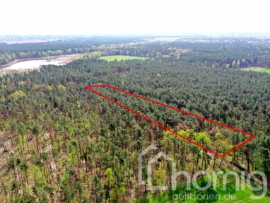Land-/Forstwirtschaft zum Kauf 3.900 € 7.180 m² Grundstück Cosel Schwepnitz / Cosel-Zeisholz 01936