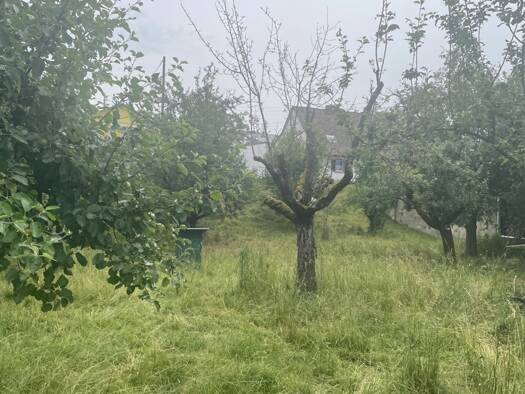 Grundstück zum Kauf 383.500 € 1.097 m² Grundstück Hartheim Hartheim am Rhein 79258