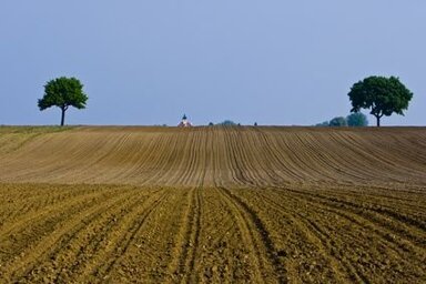 Landwirtschaftliche Fläche zum Kauf 80.000 m² Eschendorf Ostrach 88356