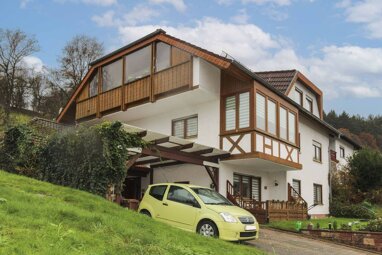 Mehrfamilienhaus zum Kauf 695.000 € 9 Zimmer 1.483,1 m² Grundstück Mückenloch Neckargemünd 69151