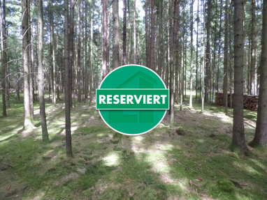 Land-/Forstwirtschaft zum Kauf 29.000 € 6.928 m² Grundstück Pilsach Pilsach / Litzlohe 92367