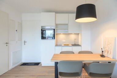 Apartment zur Miete 593 € 1 Zimmer 33 m² Erdgeschoss Scharrerstraße 5 Nürnberg 90478