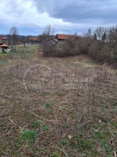 Land-/Forstwirtschaft zum Kauf 45.000 € Mihalic Selo 47250