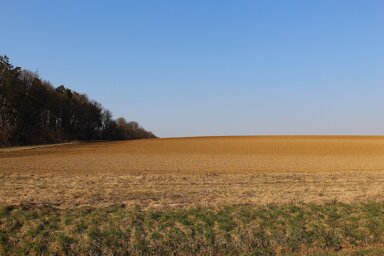 Grundstück zum Kauf 13.000 m² Grundstück Ortenberg Marburg 35039