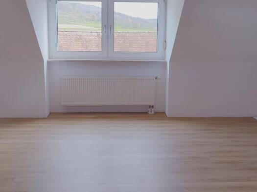Wohnung zur Miete 800 € 4 Zimmer 89,1 m² Geschoss 2/3 frei ab sofort Dietzhof 13 Dietzhof Leutenbach 91359