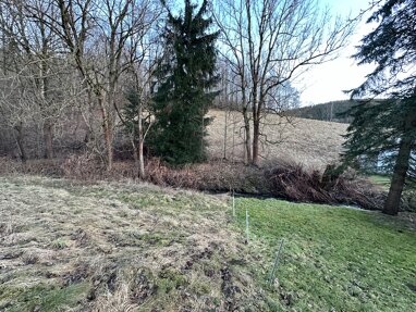 Grundstück zum Kauf 27.000 € 1.200 m² Grundstück Großrückerswalde Großrückerswalde 09518