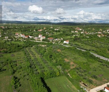 Land-/Forstwirtschaft zum Kauf 33.180 € Benkovac 23420