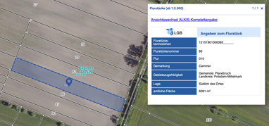 Landwirtschaftliche Fläche zum Kauf 11.700 € 6.281 m² Damelang Planebruch 14822