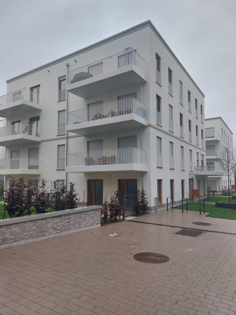 Wohnung zum Kauf Provisionsfrei 450.000 € 2 Zimmer 44 m²<br/>Wohnfläche 1. Stock<br/>Geschoss Rödelheimer Landstrasse 132A Bockenheim Frankfurt 60487