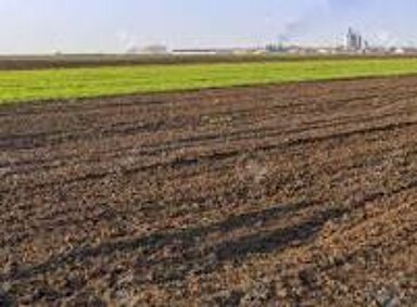 Land-/Forstwirtschaft zur Miete provisionsfrei 270.000 m² Grundstück Lüchow Lüchow 29439